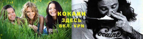 каннабис Абаза