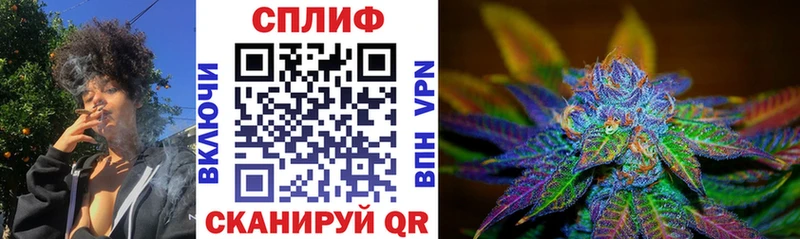 Конопля гибрид Мурино